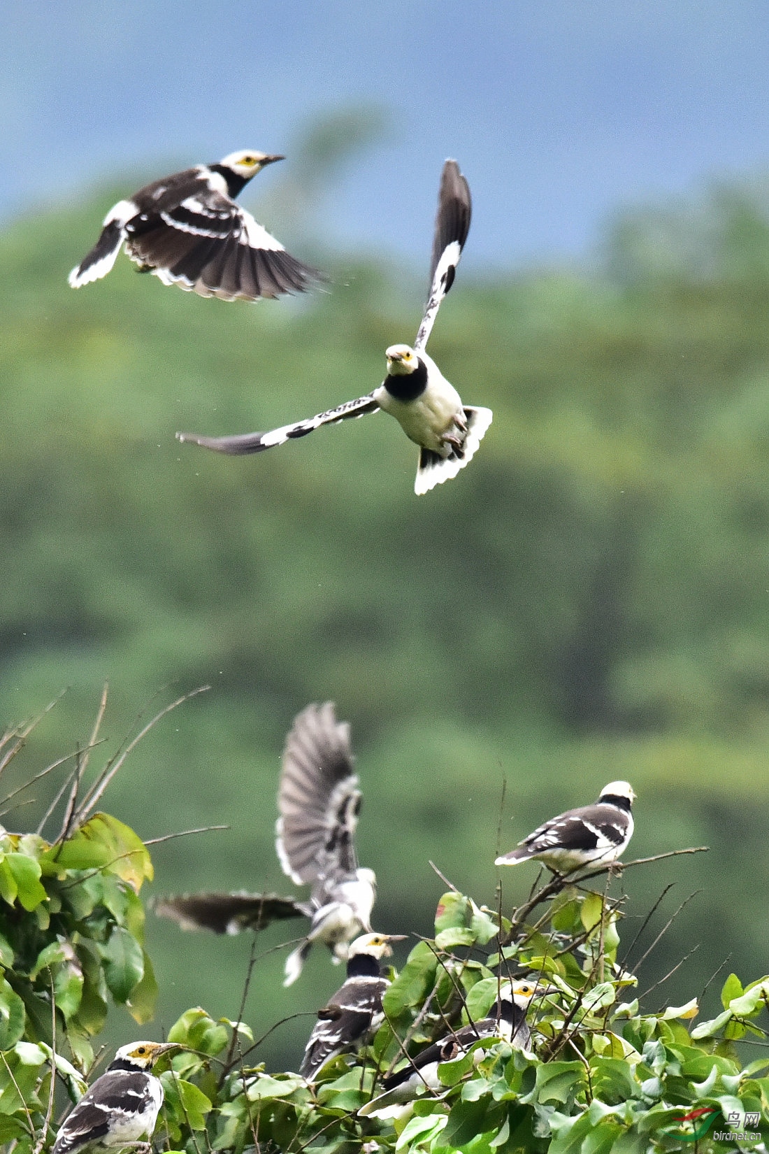 DSC_0910.JPG
