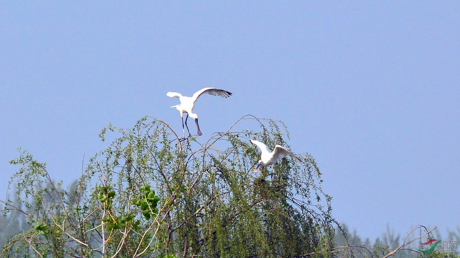 DSC_6363.JPG