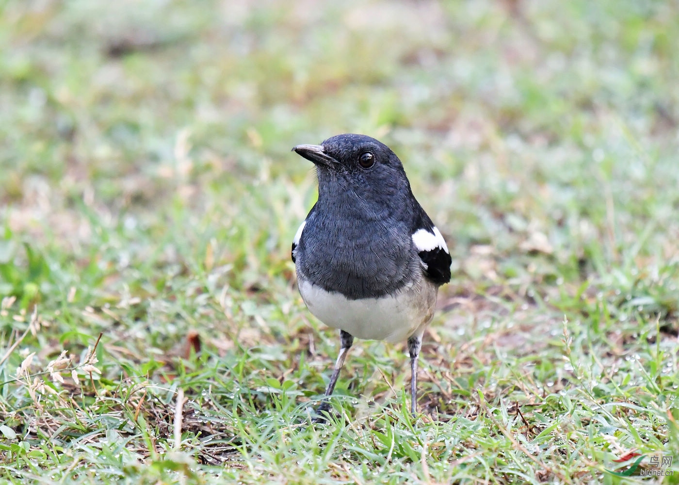DSC_3104.jpg