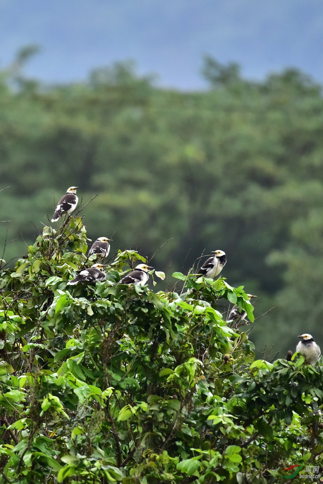 DSC_0914.JPG