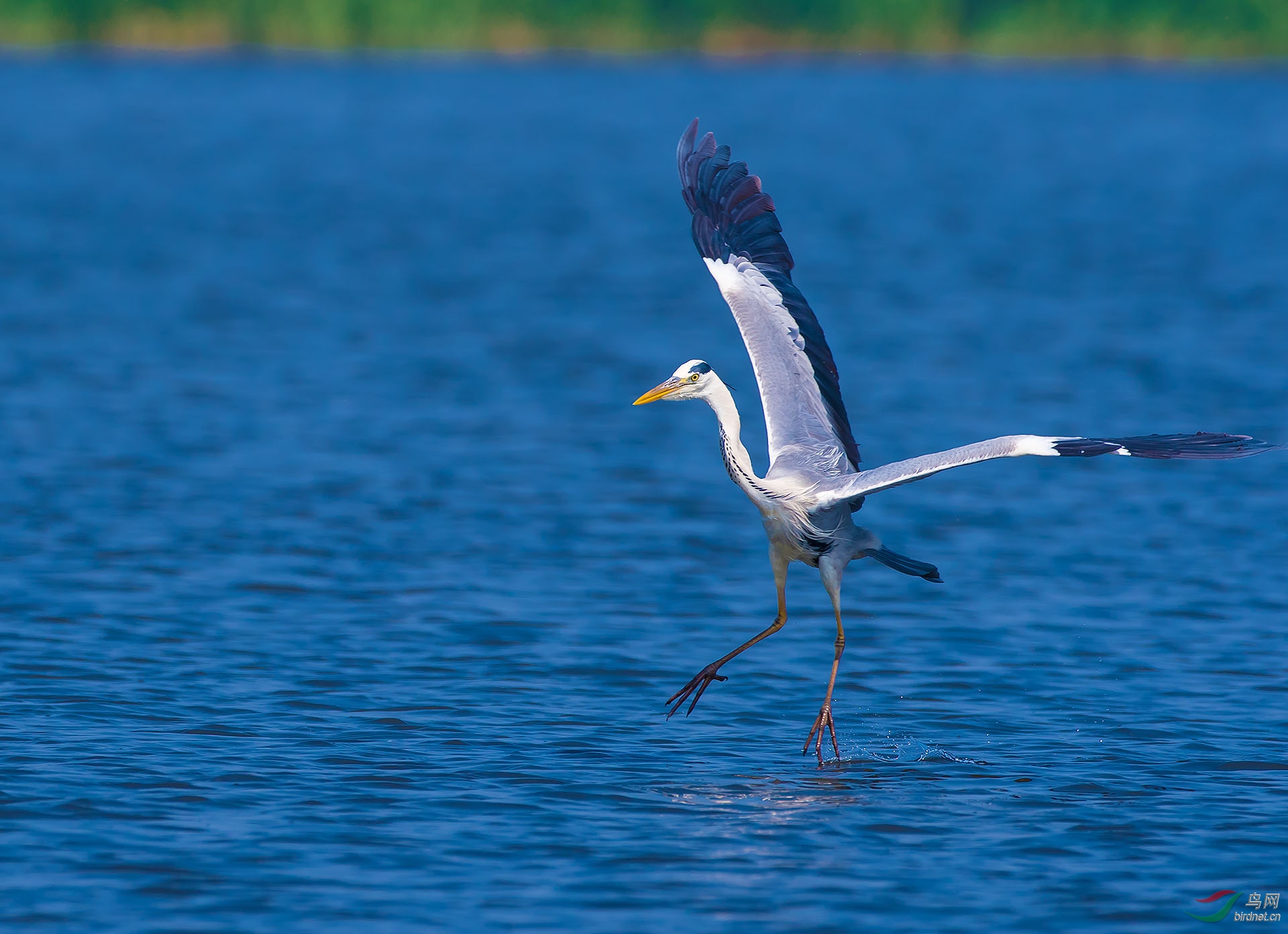 DSC_5595.jpg