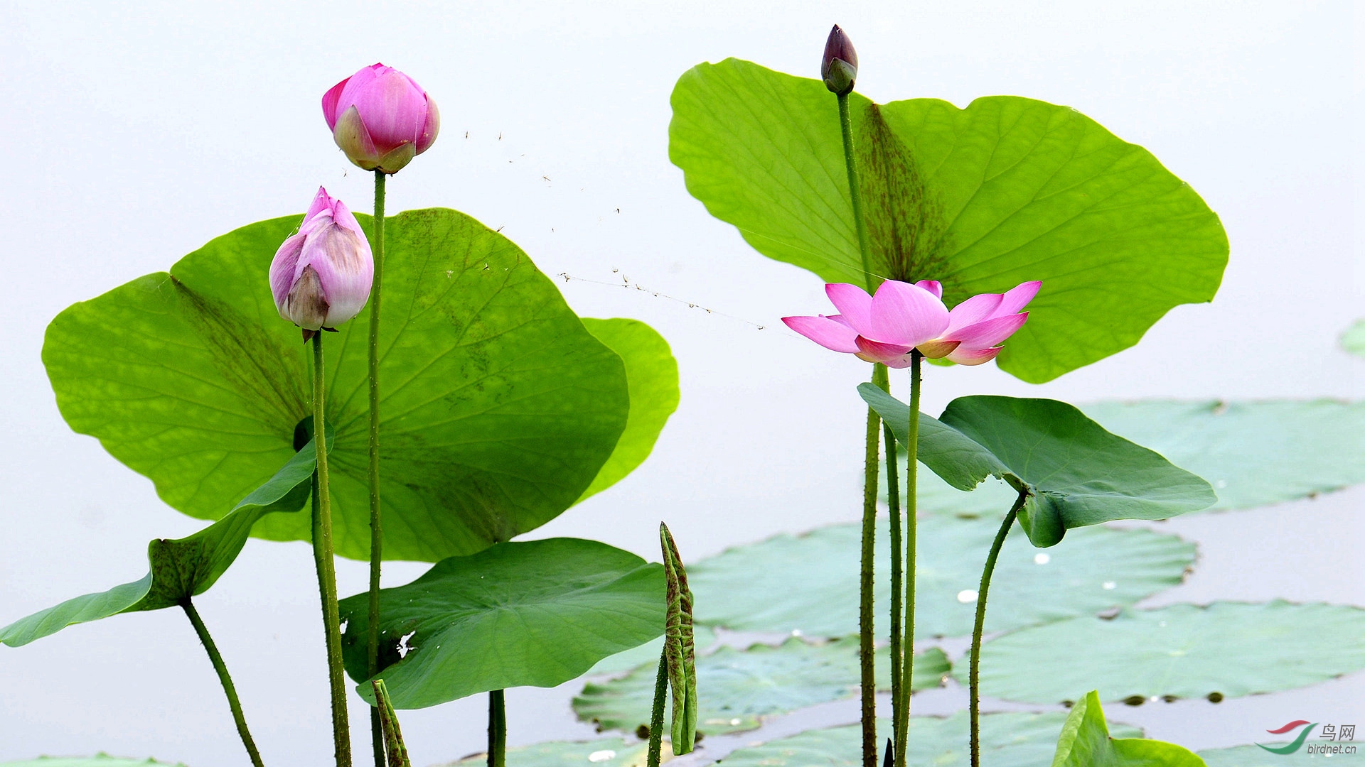 _DSC7397 (141)_����.jpg