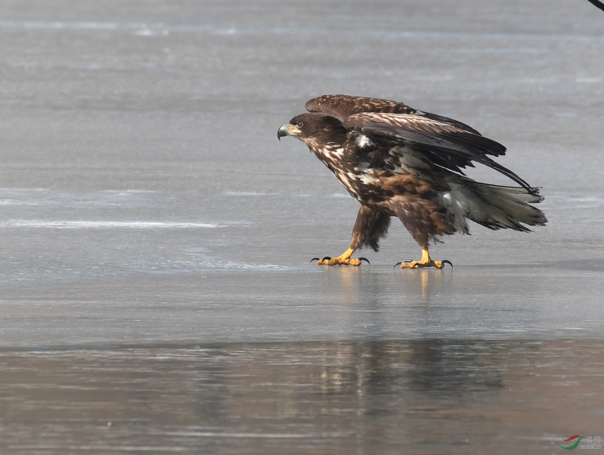 ������Ӱ 1684����.jpg