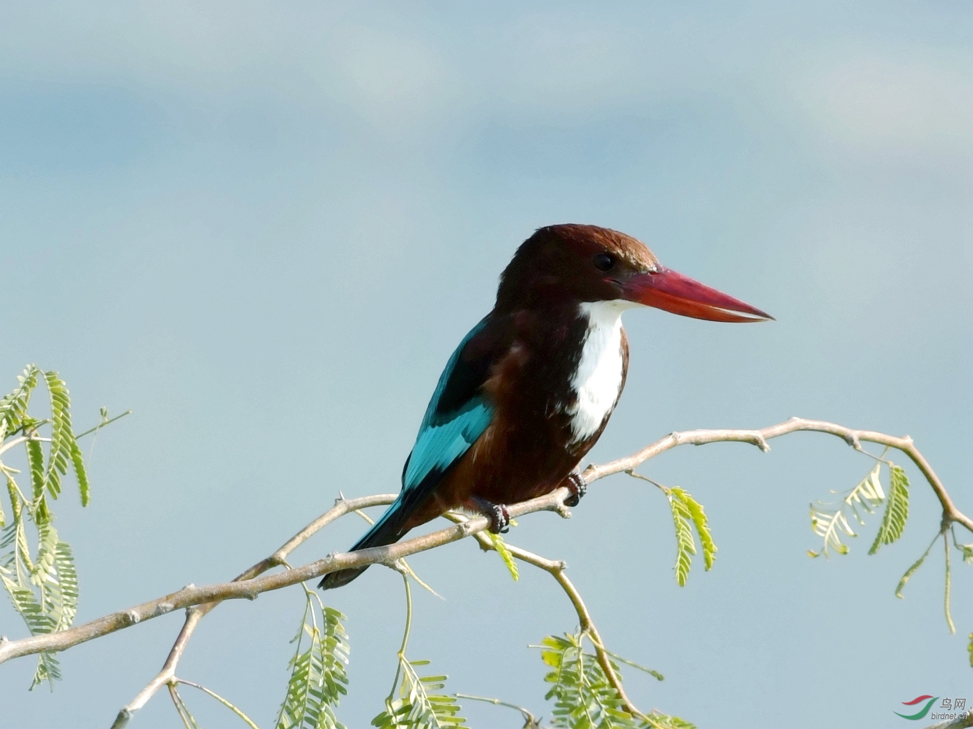 DSC_1532 (1)_����28.jpg