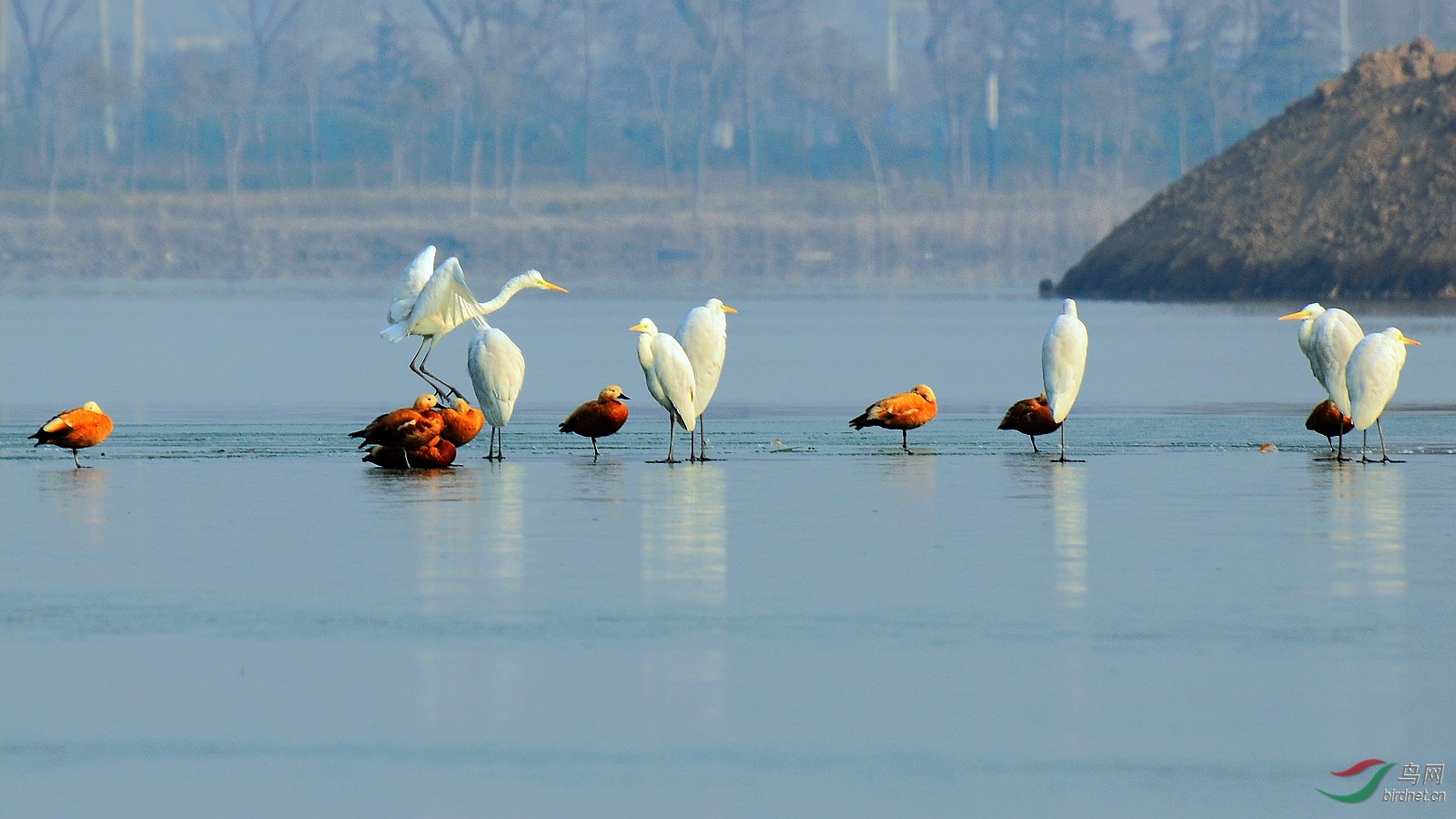 DSC_0189.JPG
