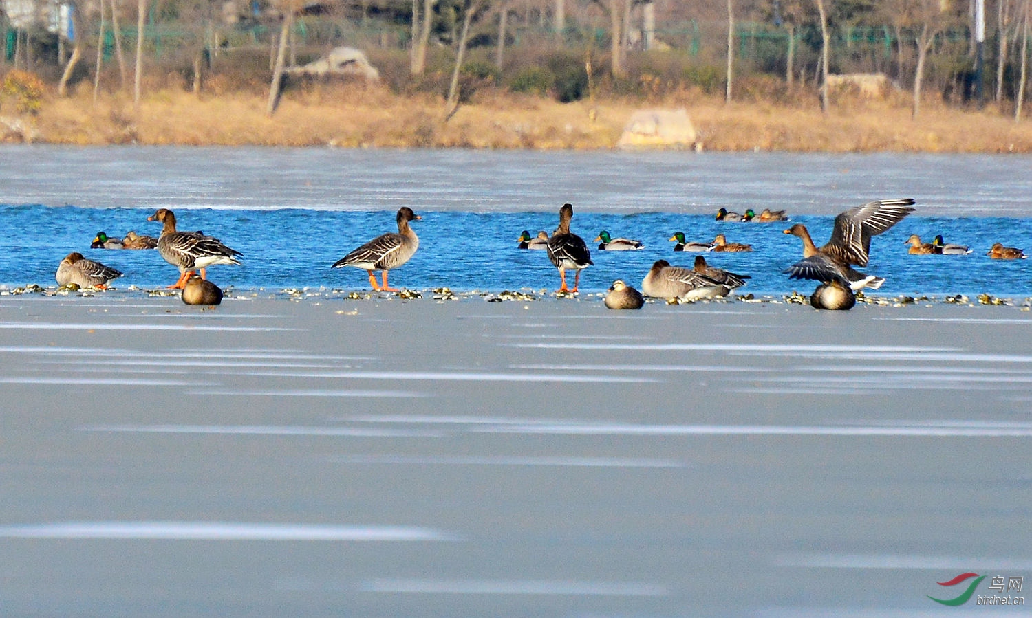 DSC_6329.JPG