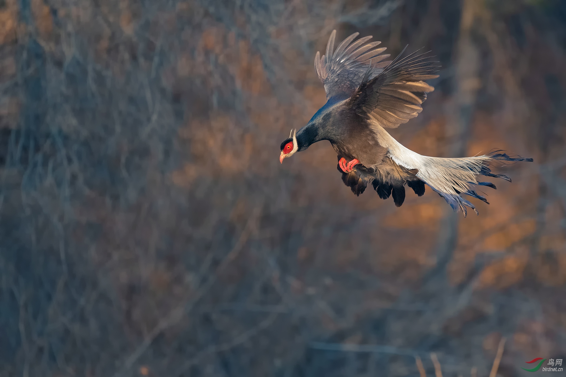 _DSC8181-1.jpg
