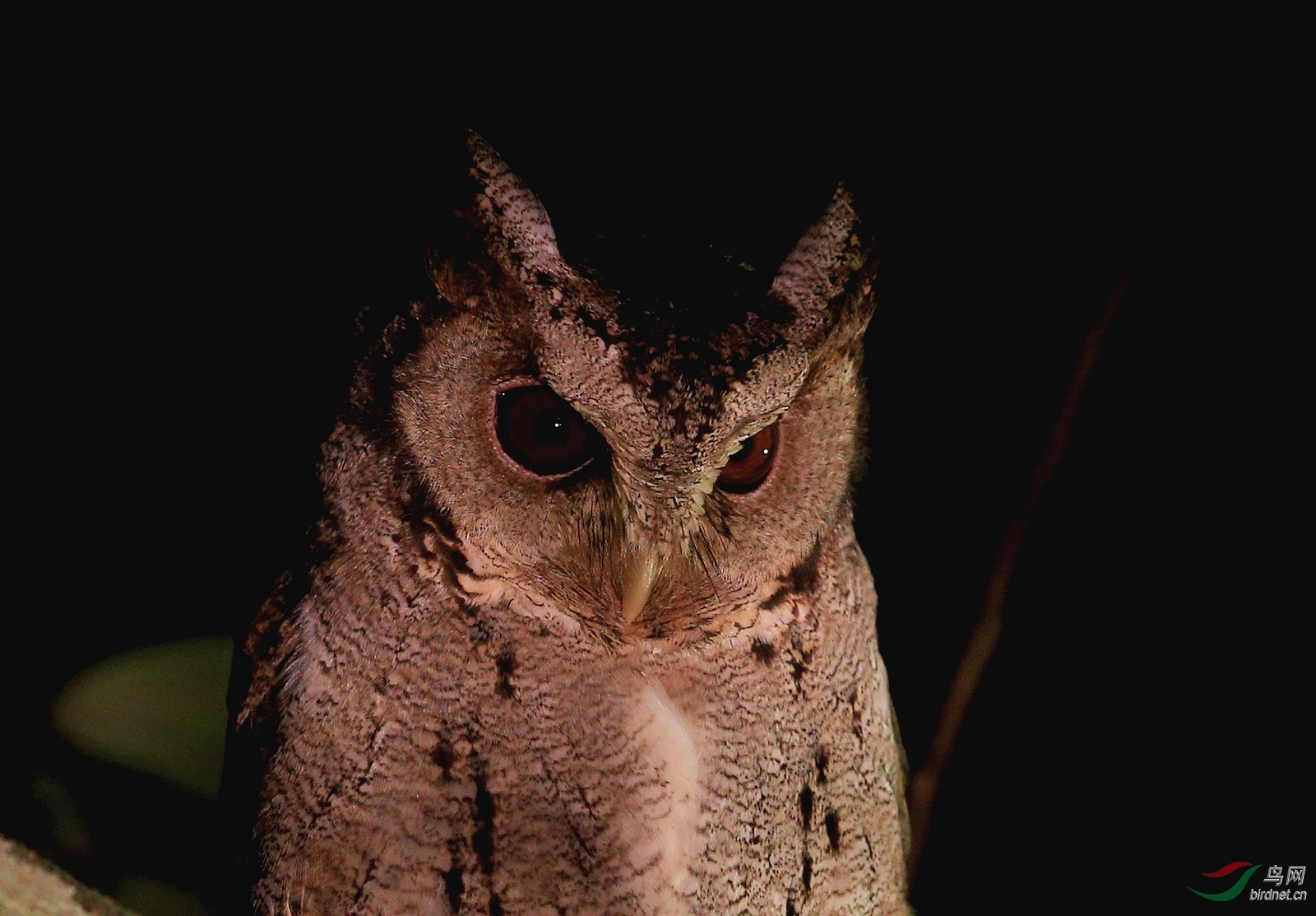 IMGL3881 - ����.JPG