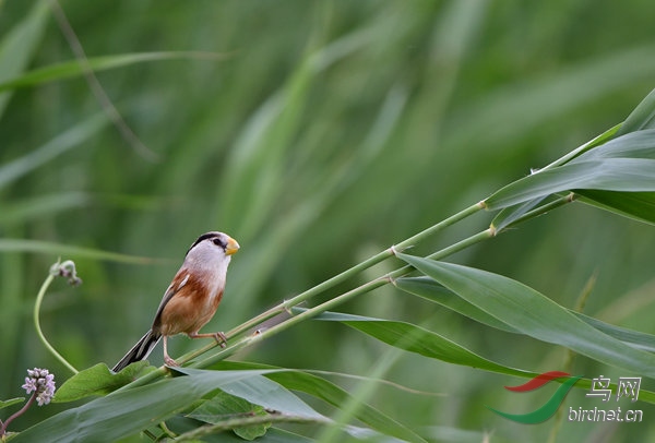 DSC_3913_����.jpg