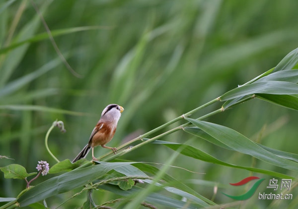 DSC_3970_����.jpg