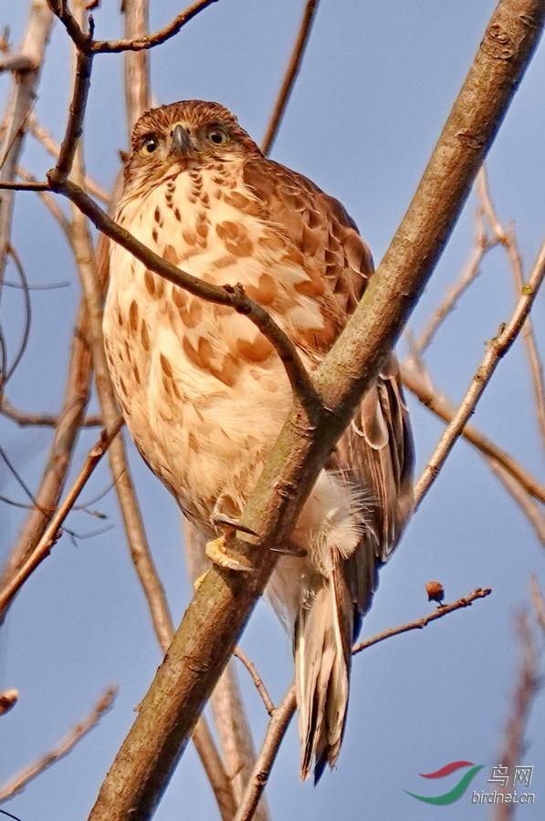 DSC06614.jpg