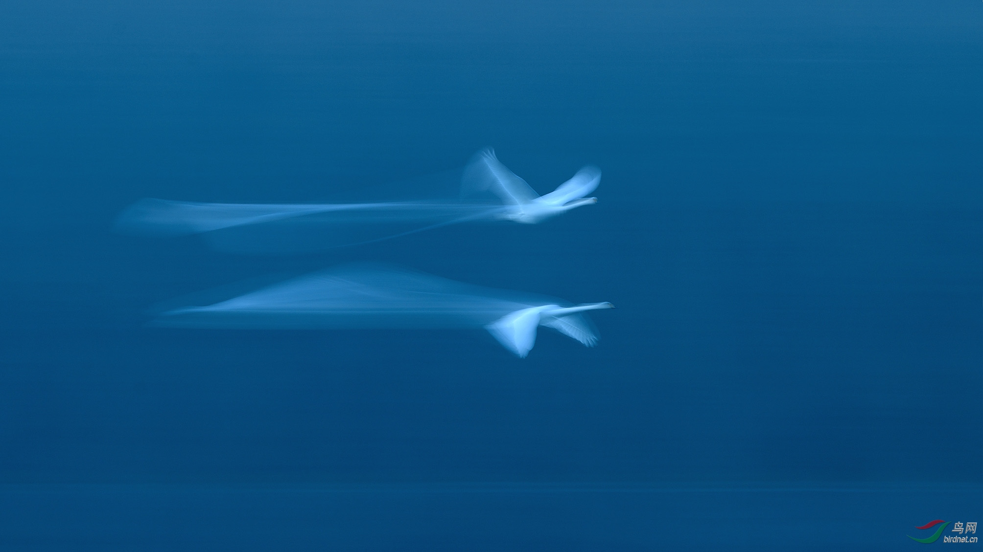DSC_4214_��Я���� �ϴ�.jpg