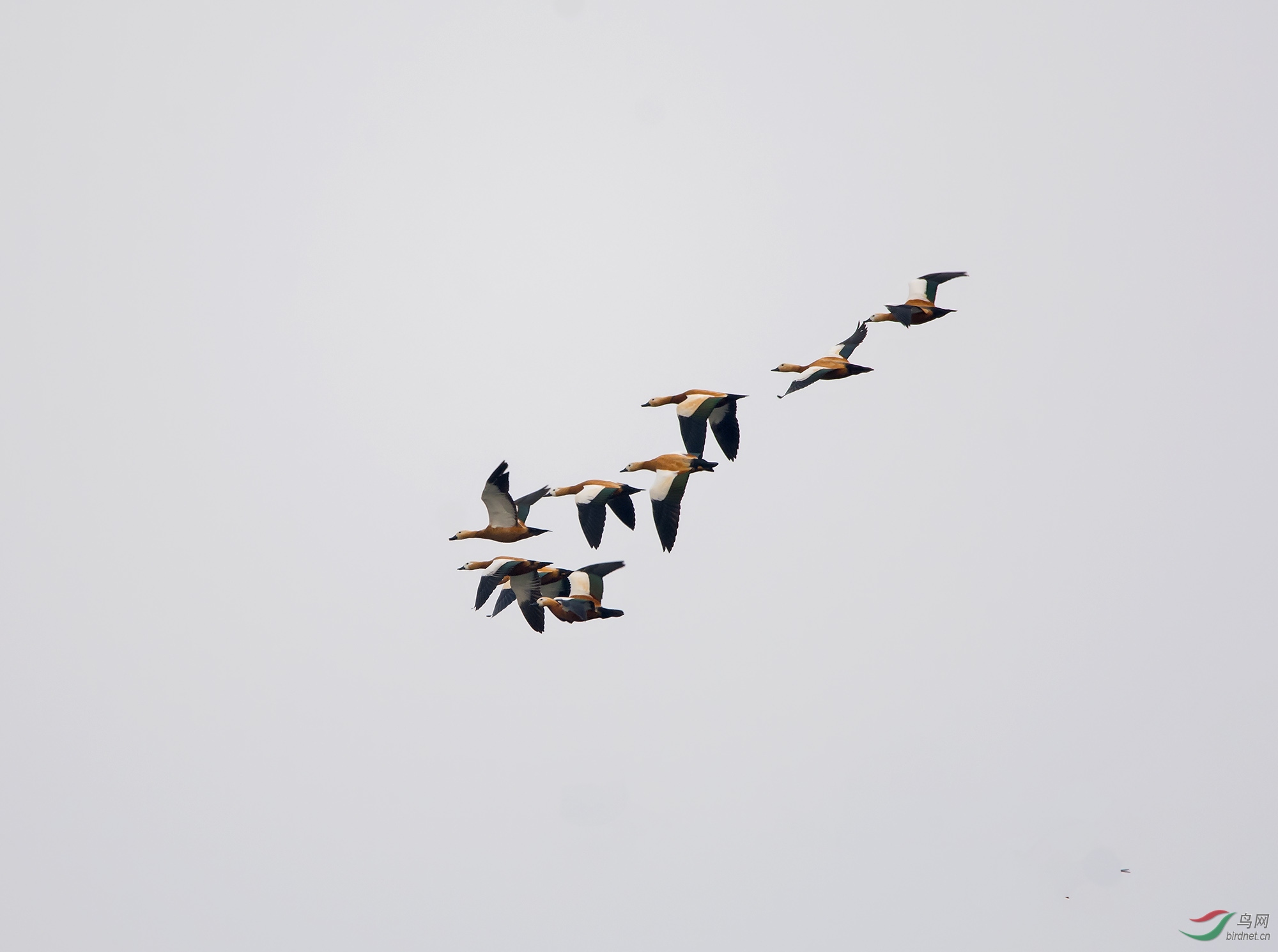 DSC_1557.jpg