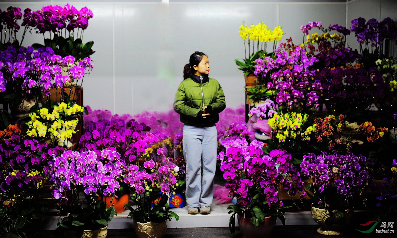 ����������