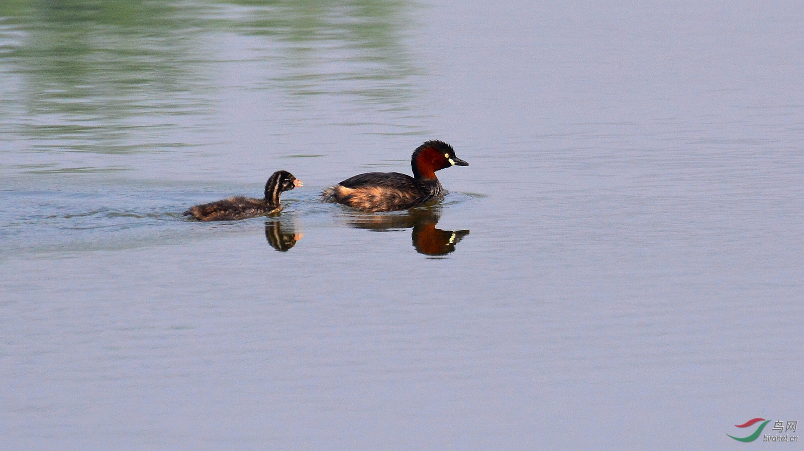 DSC_3096.JPG