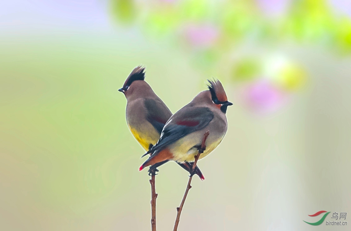 12121212 - ����.jpg