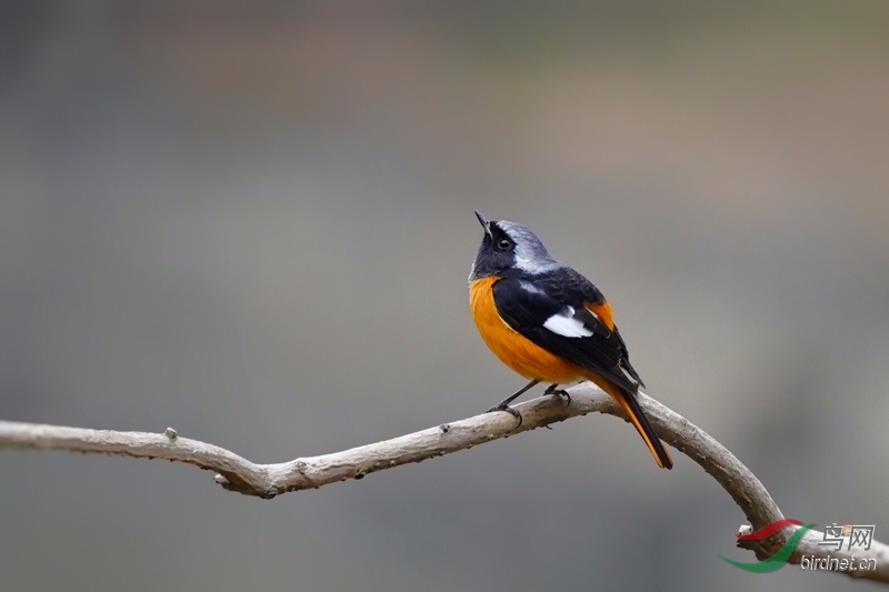 �����ÿ��̧ͷ������յ�һ˲�䣬���ǿ���ʲô��������ʲô��������������������и����������޵�����ռ� ...