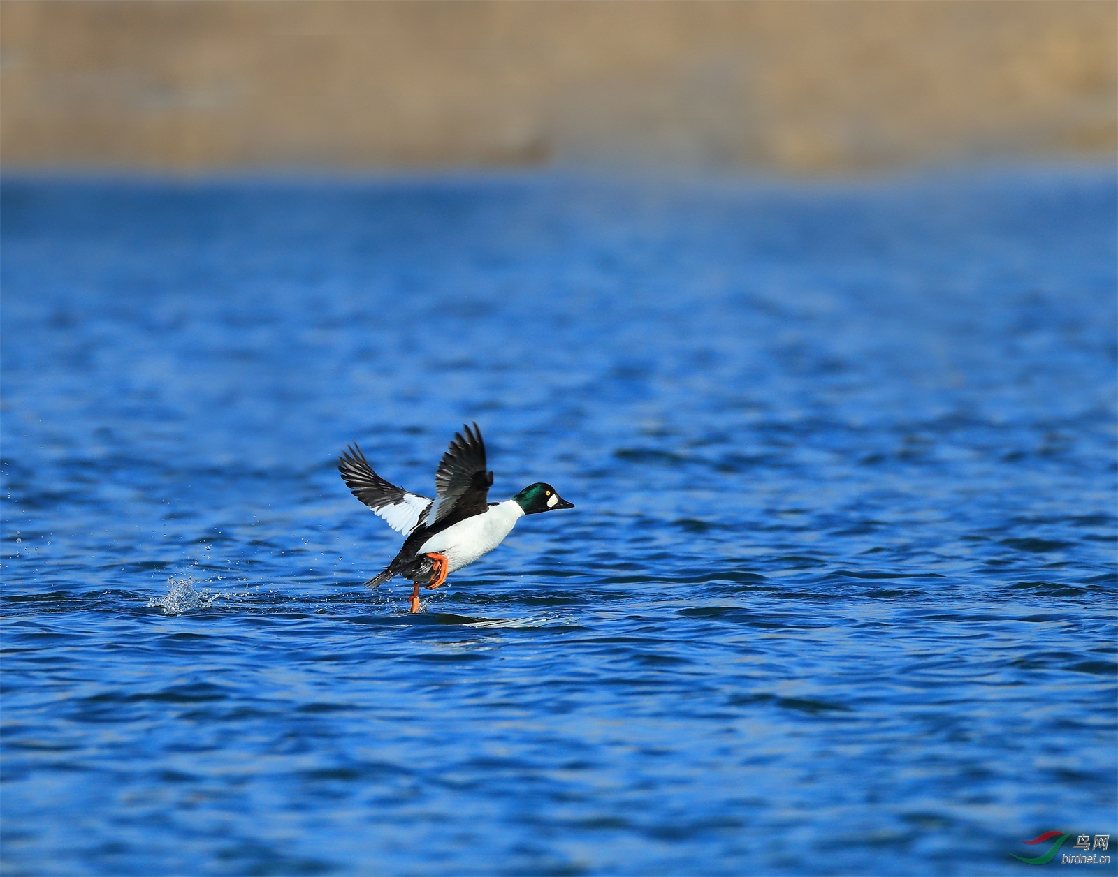 1 - ����.JPG