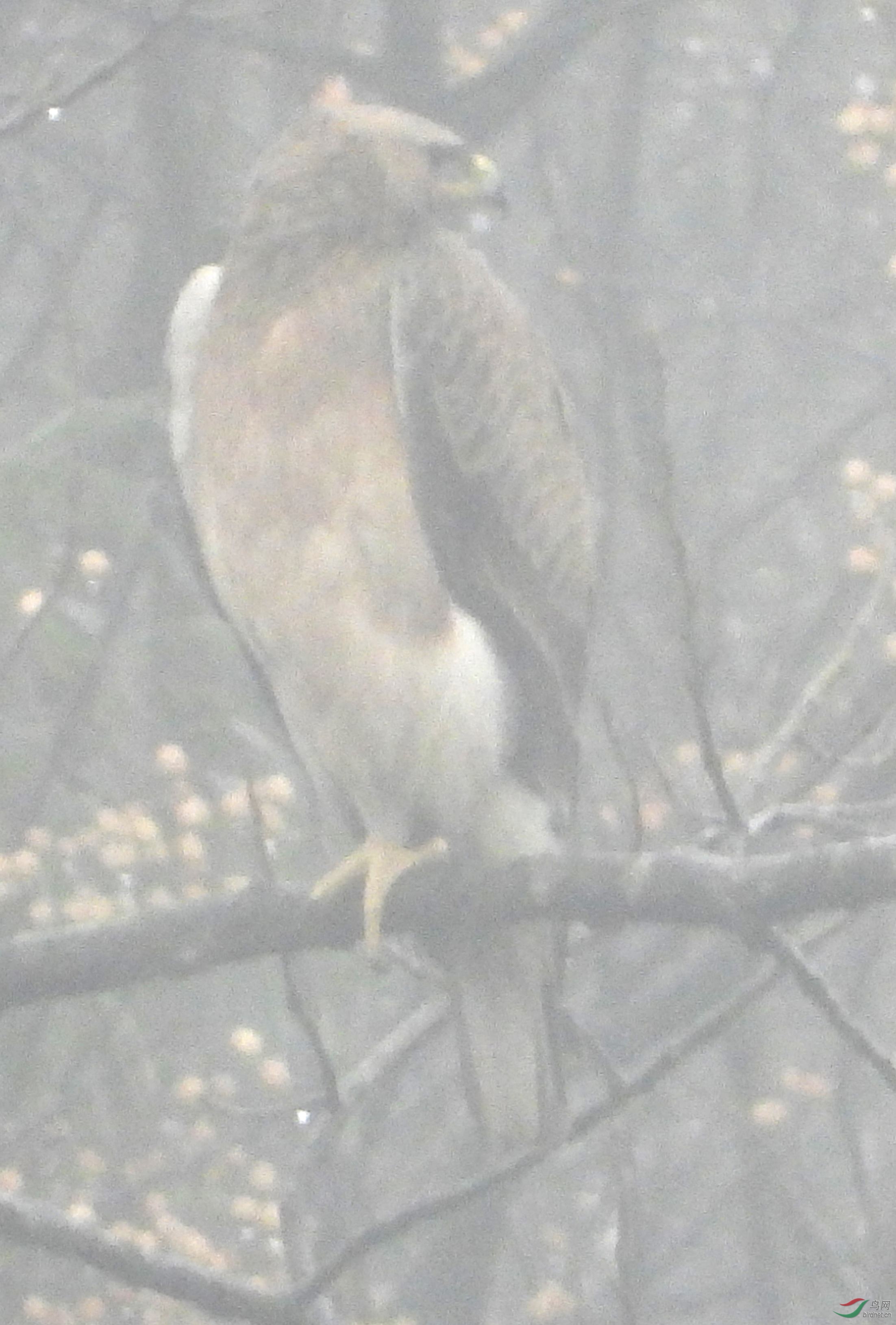 g.78915  �׸�����_����.jpg