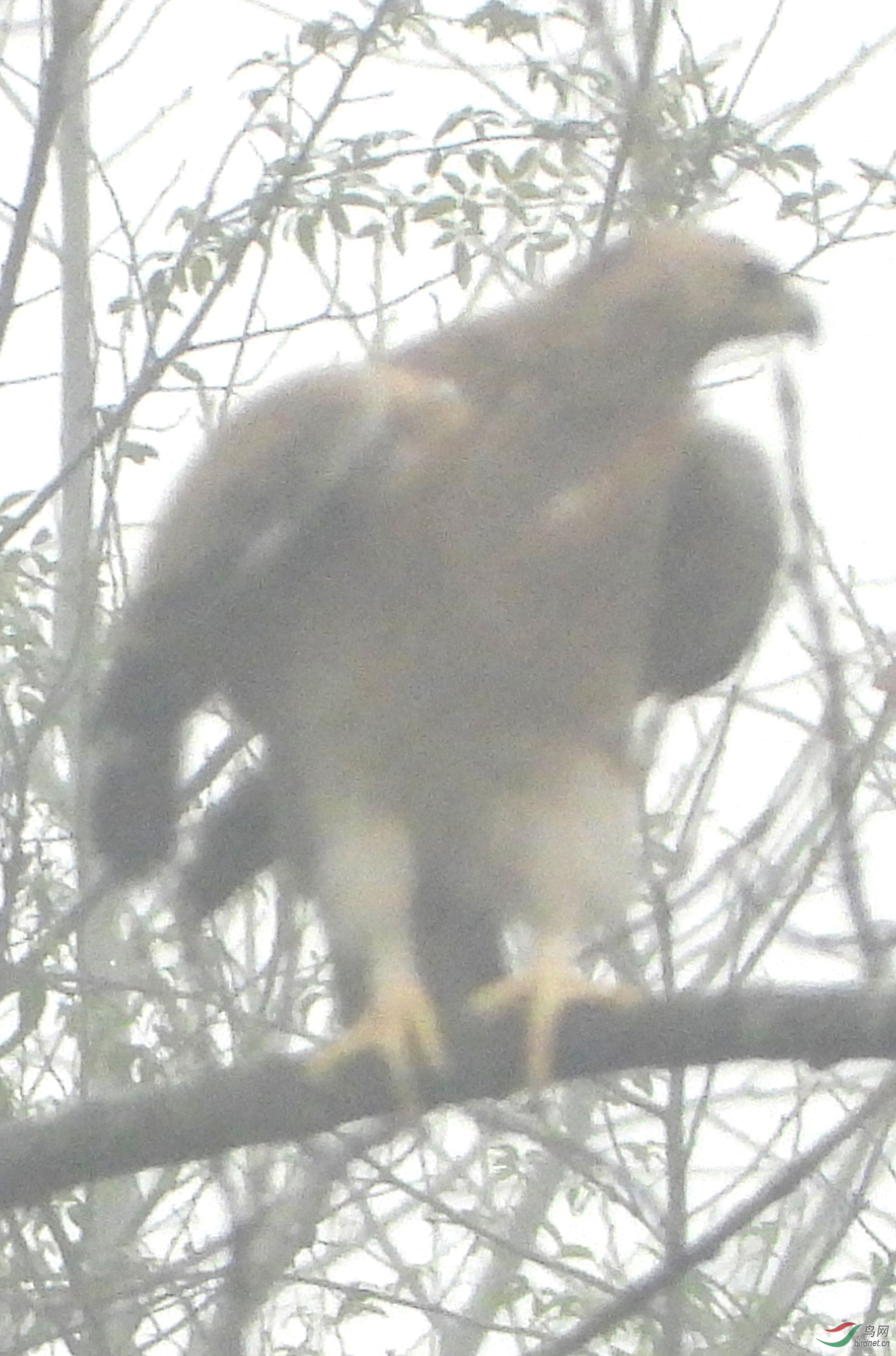 g.78922  �׸�����_����.jpg