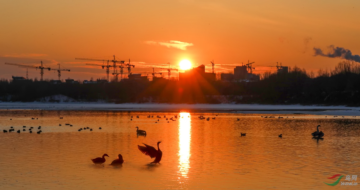 最美不过夕阳红