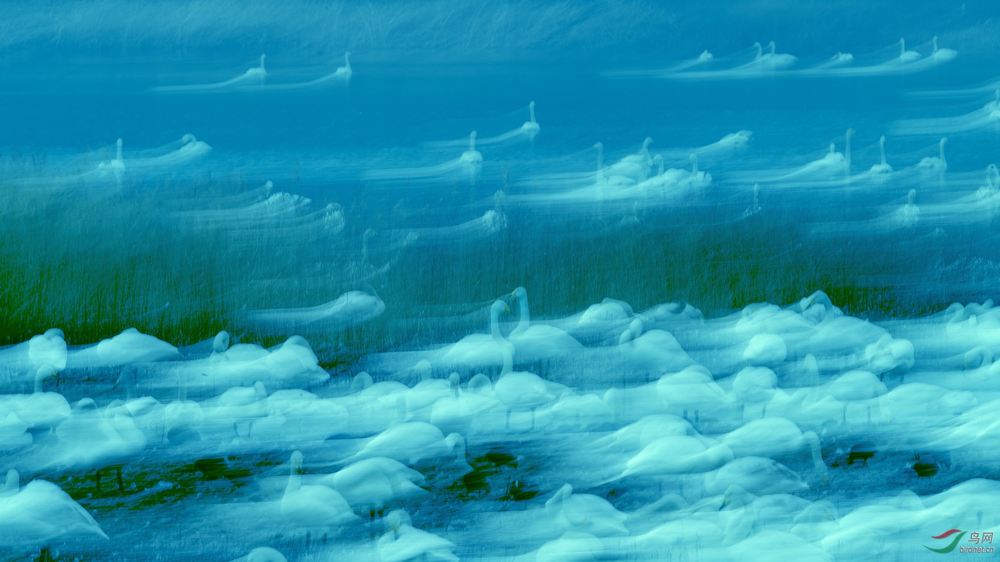 DSC_2993�ĸ���_ֻ��һ�� �ϴ�.jpg