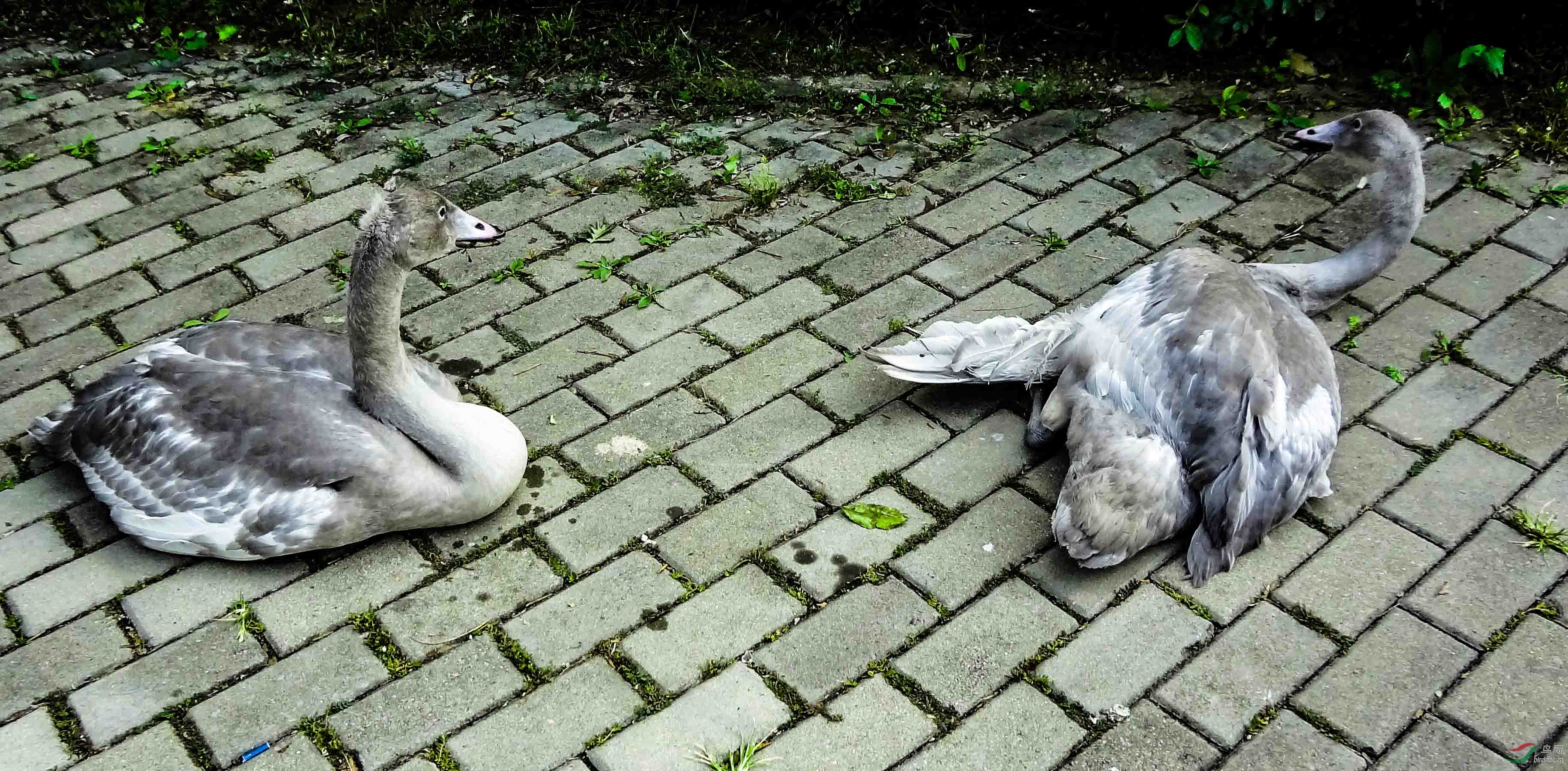 ���˵�������