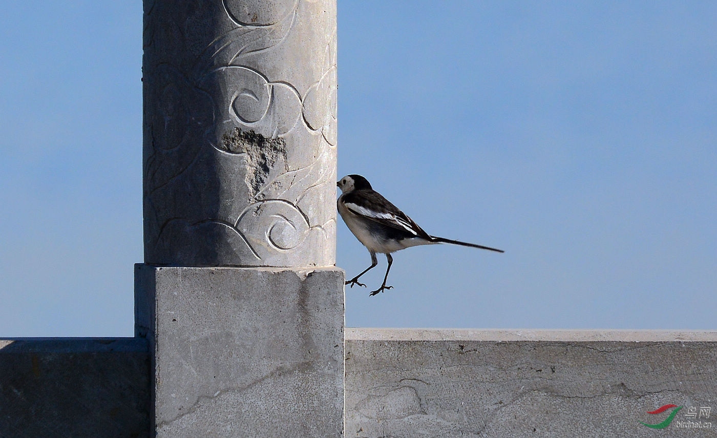 DSC_7391.JPG