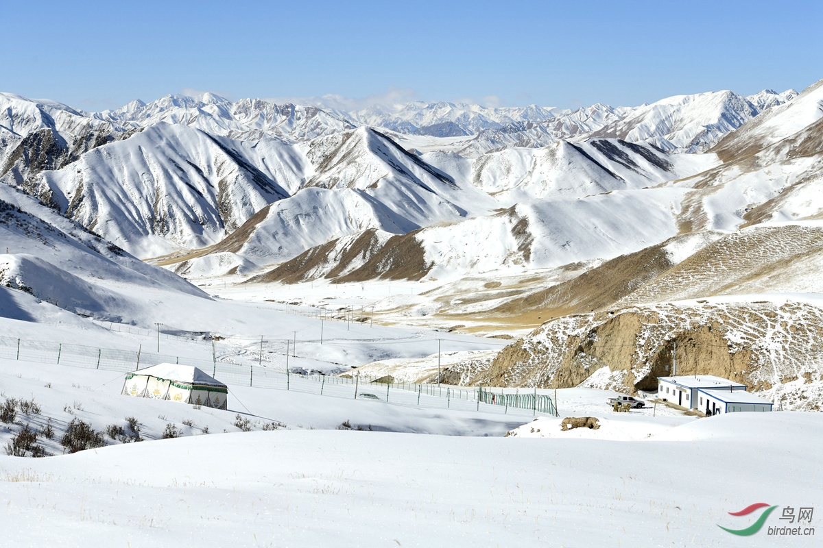 012肉保的救助站位于青海省海西州海拔�