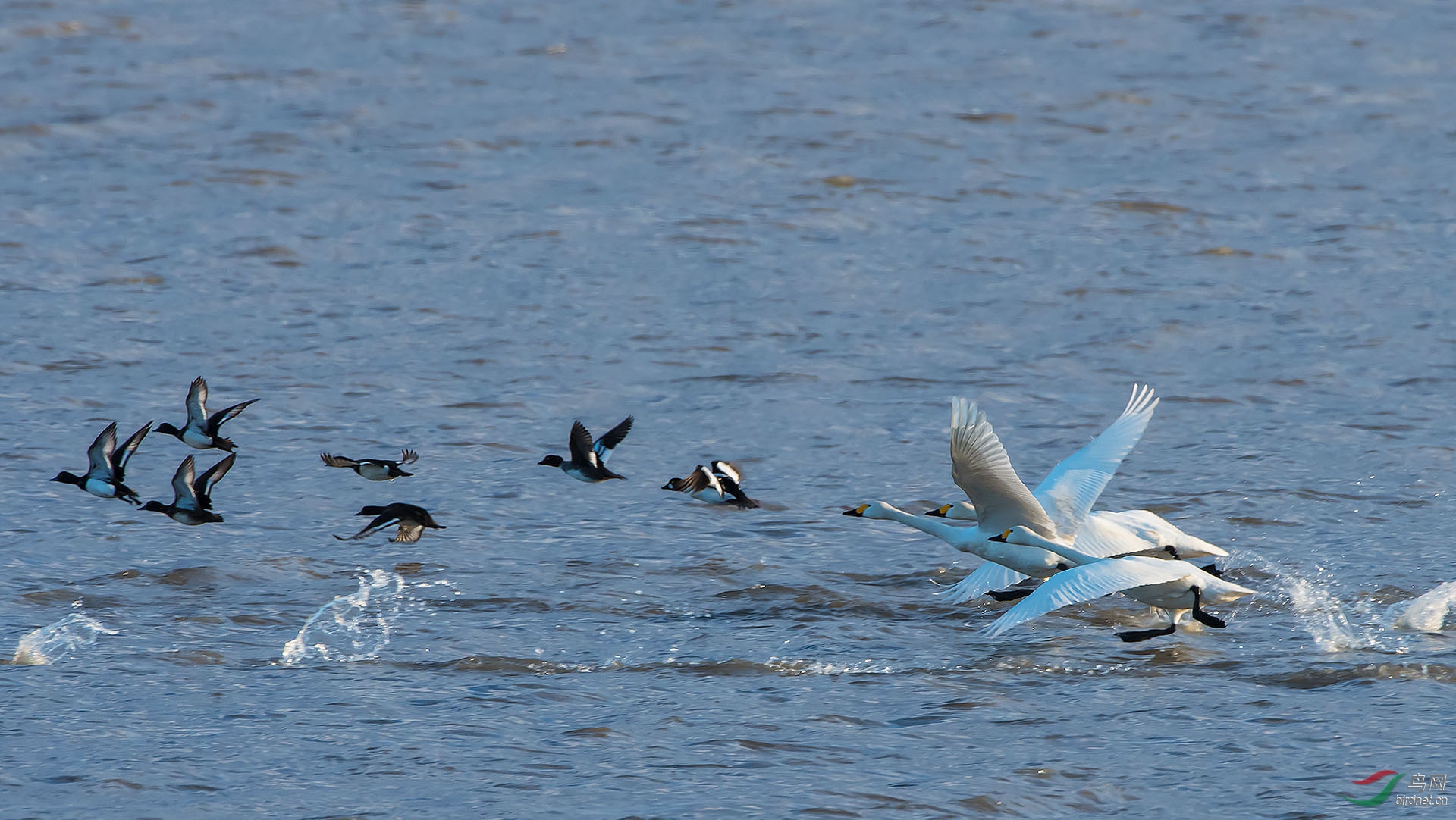 DSC_1065.jpg