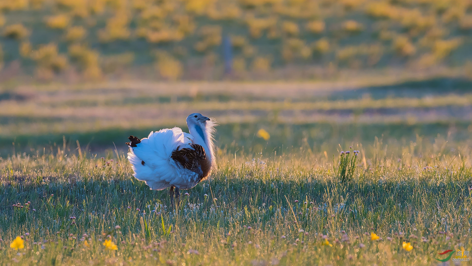 DSC_1160.jpg