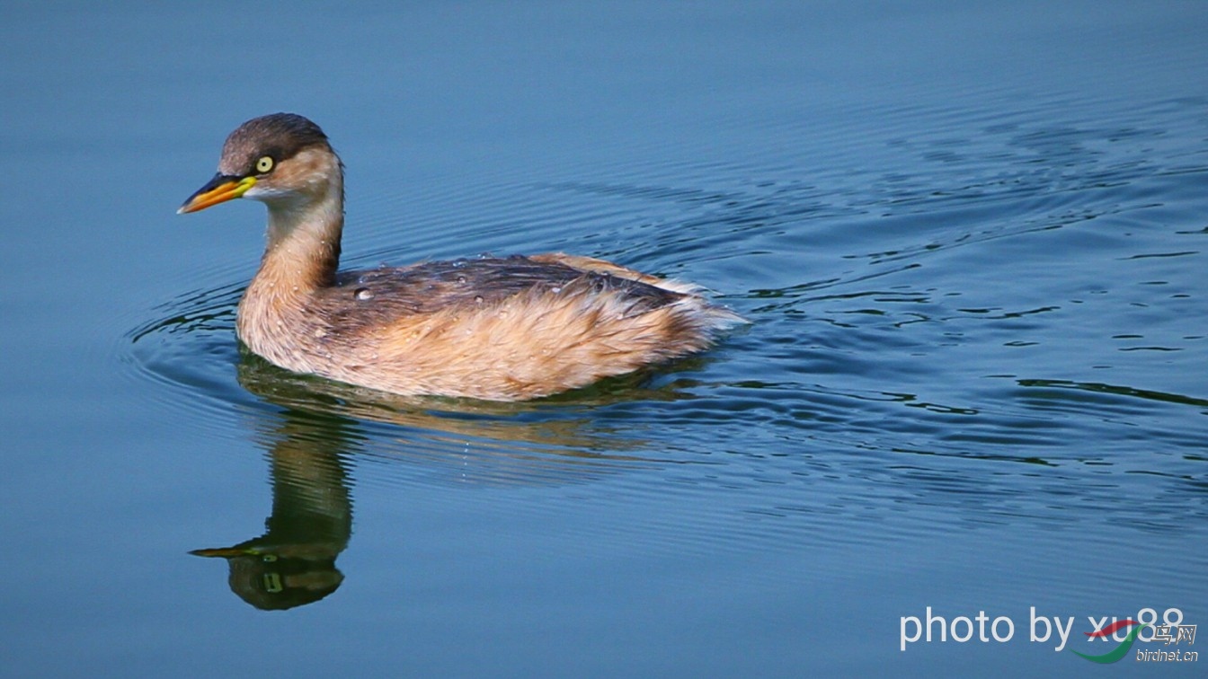 ����Լ10��