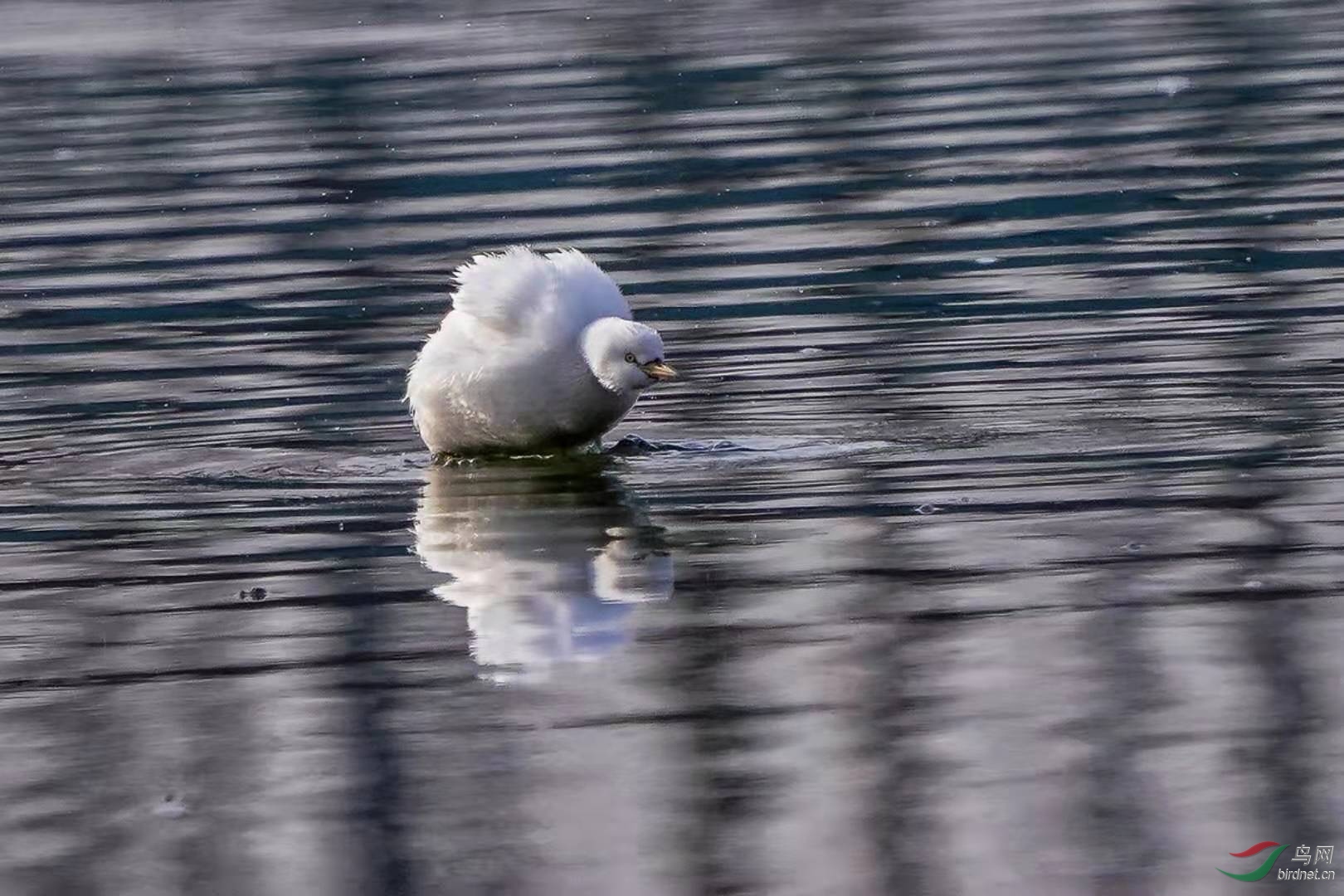 ΢��ͼƬ_20200121190040.jpg