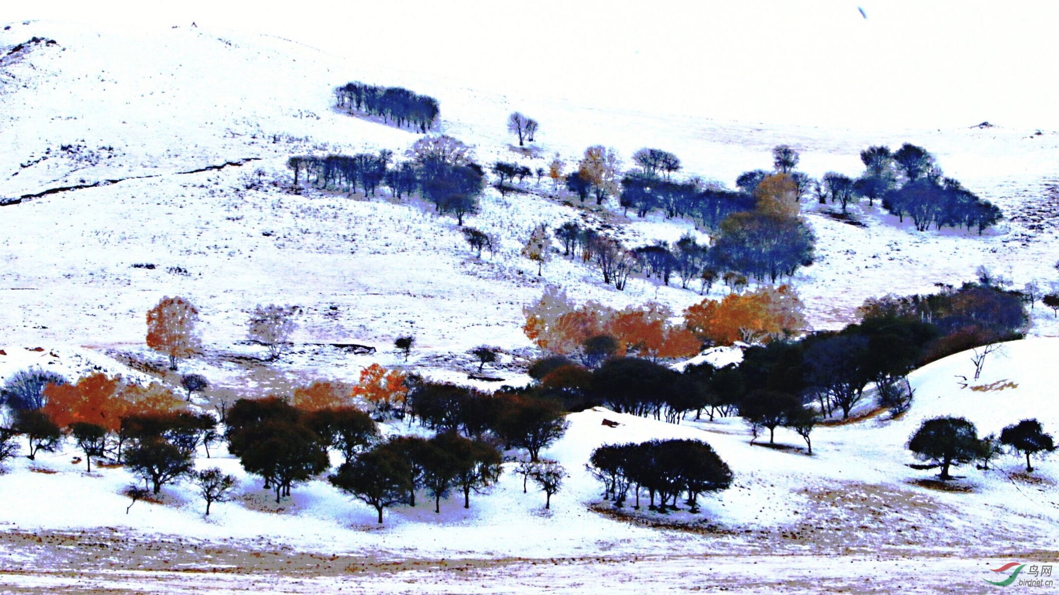 ΢��ͼƬ_20200122090811.jpg