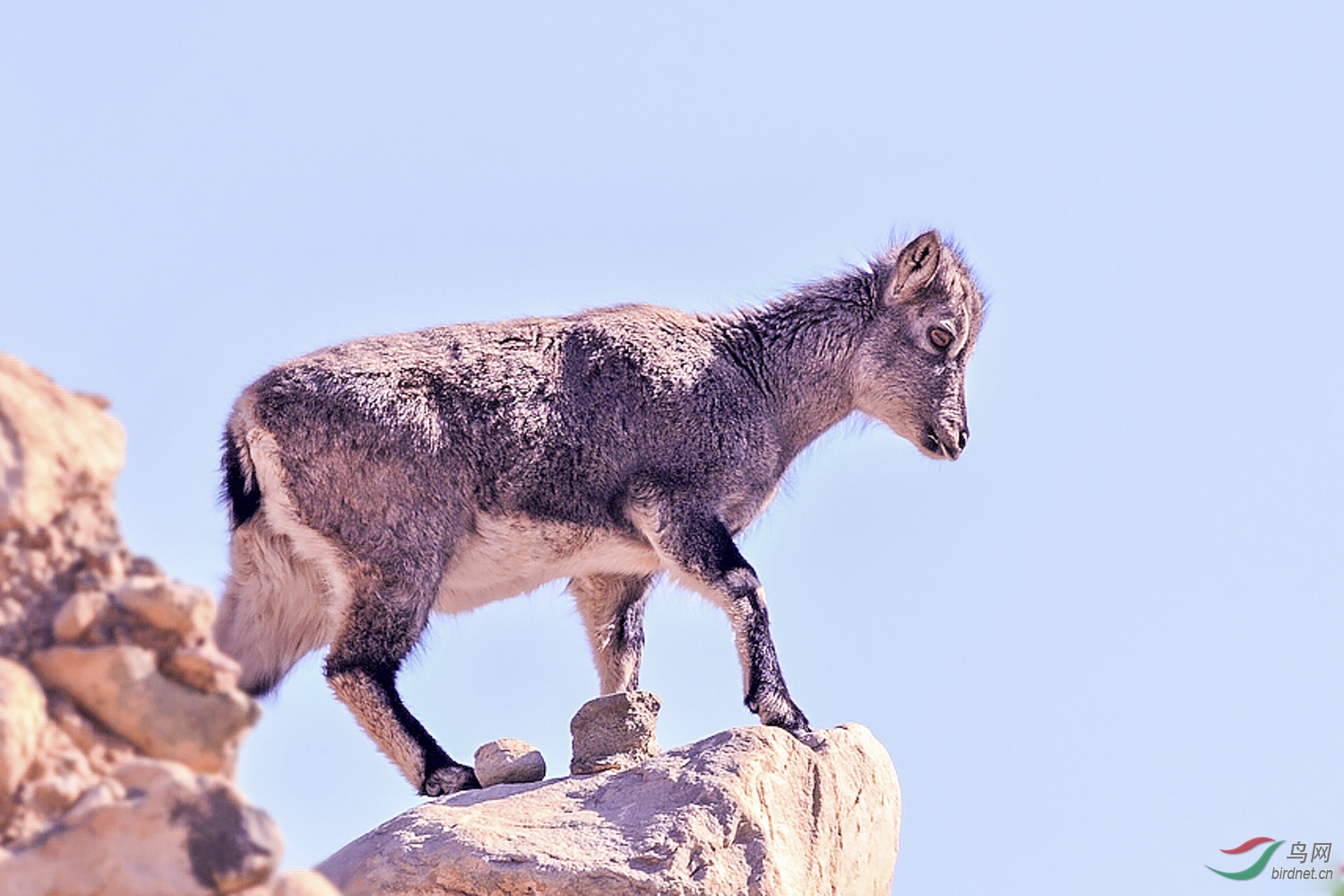 ���� (1).jpg