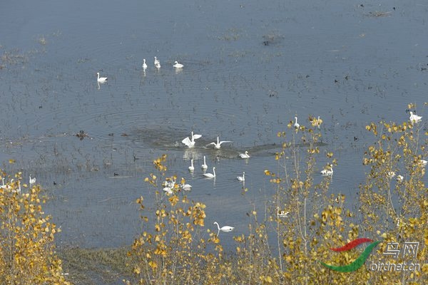 _E8J1500.jpg