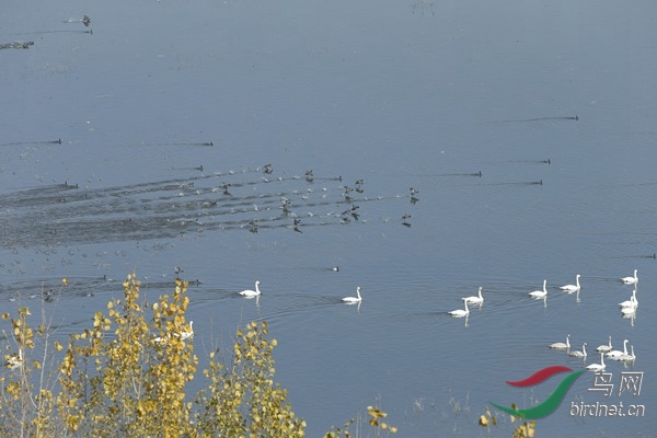 _E8J1549.jpg
