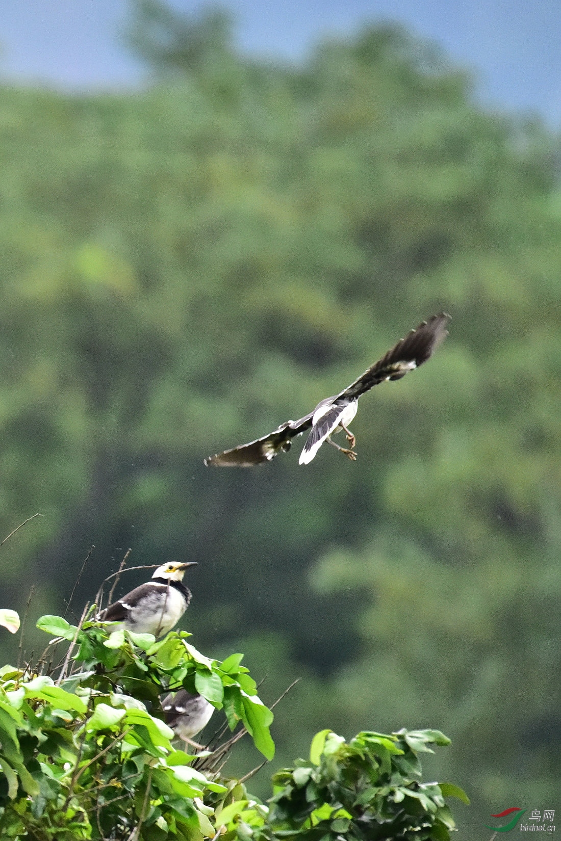 DSC_0936.JPG