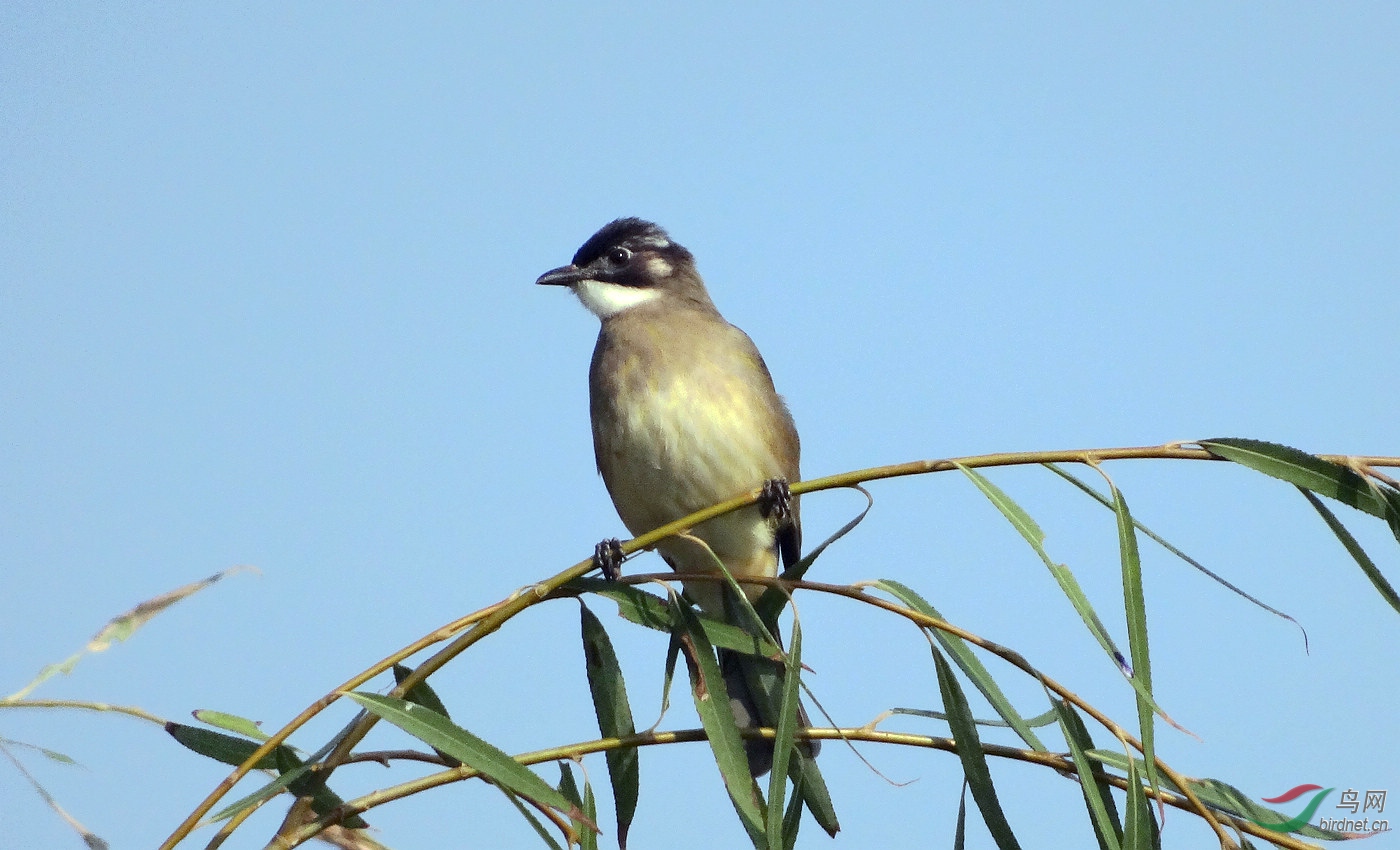 DSC07678.JPG
