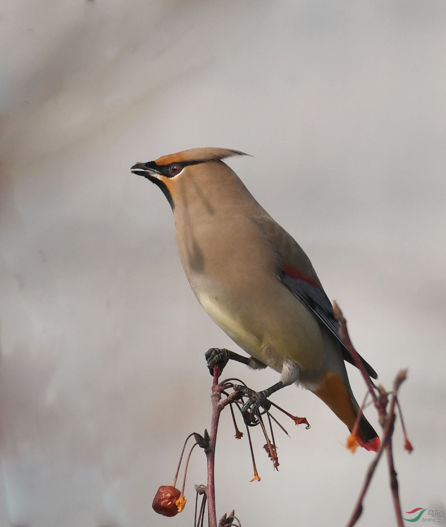 ������Ӱ 1256����.jpg