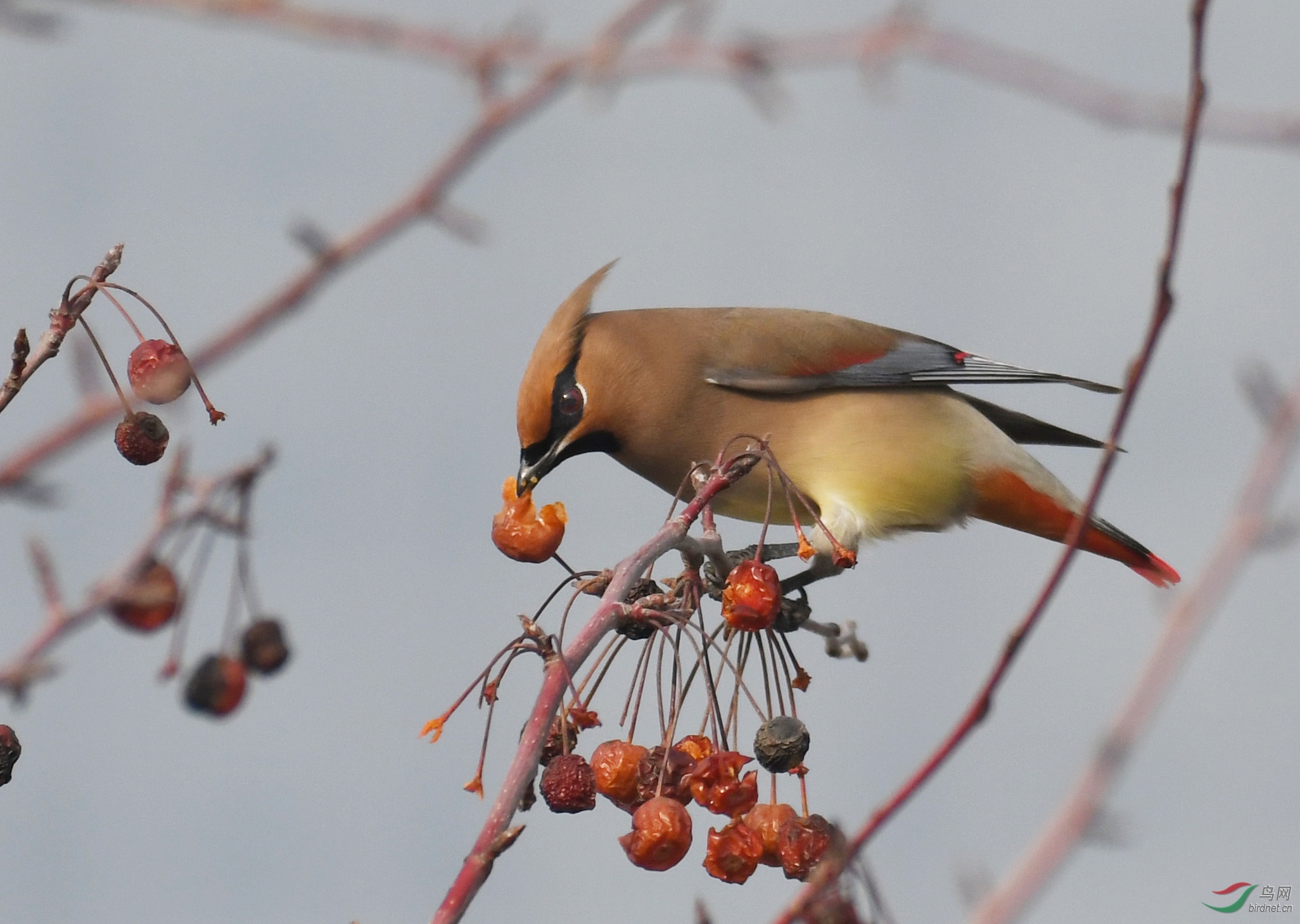 ������Ӱ 1237����.jpg