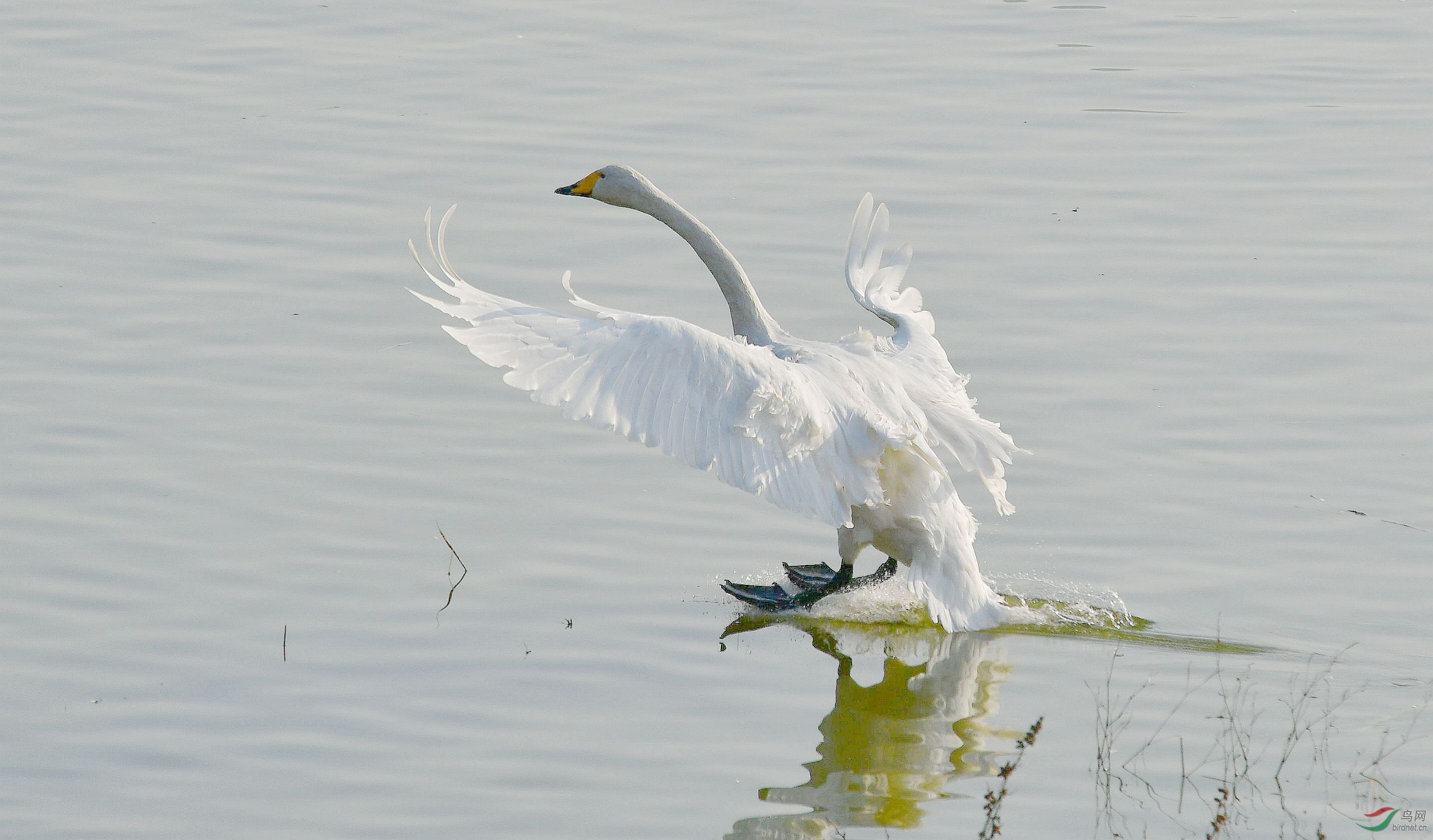 DSC_6900_����.jpg