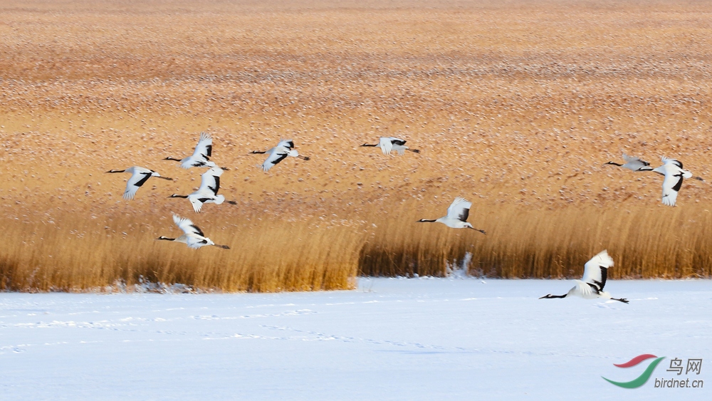 ����ĵ�����