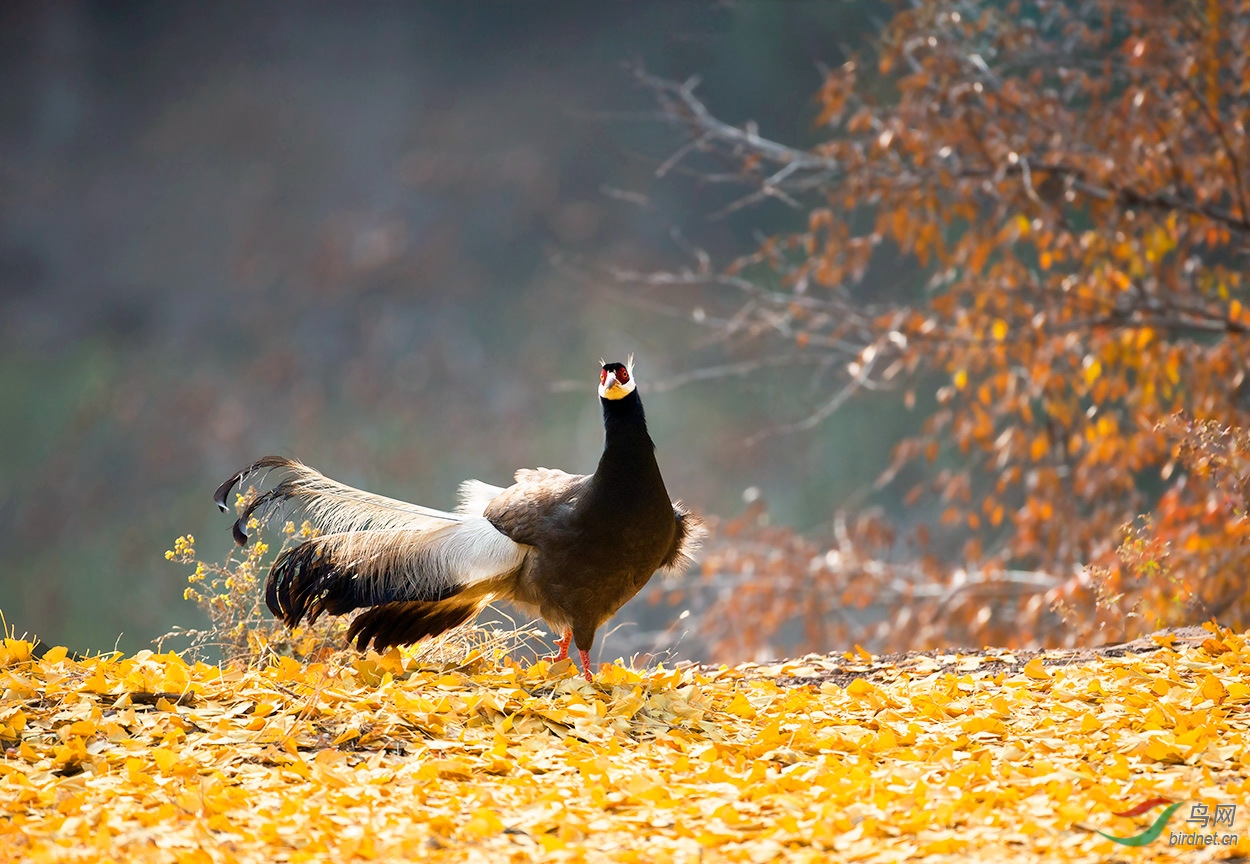 DX3W7870-5.jpg