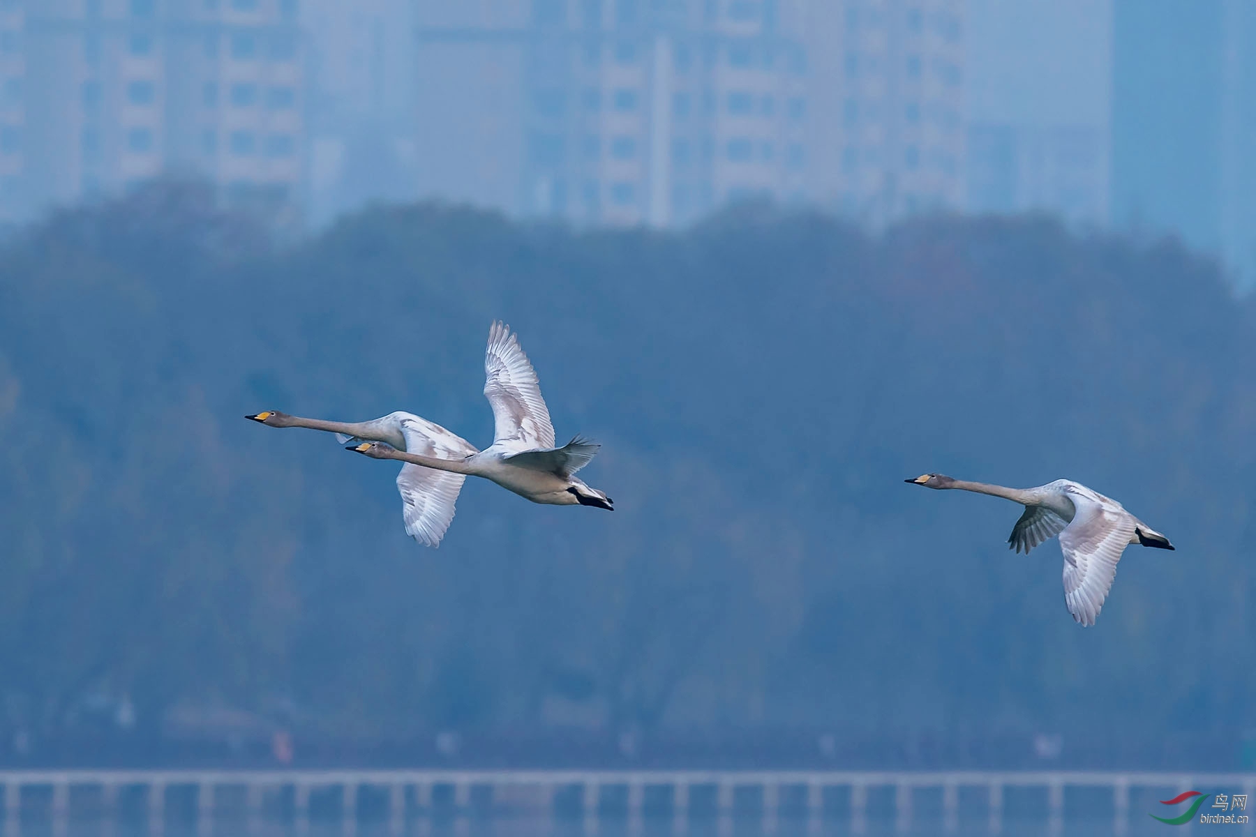 DSC_3996.jpg