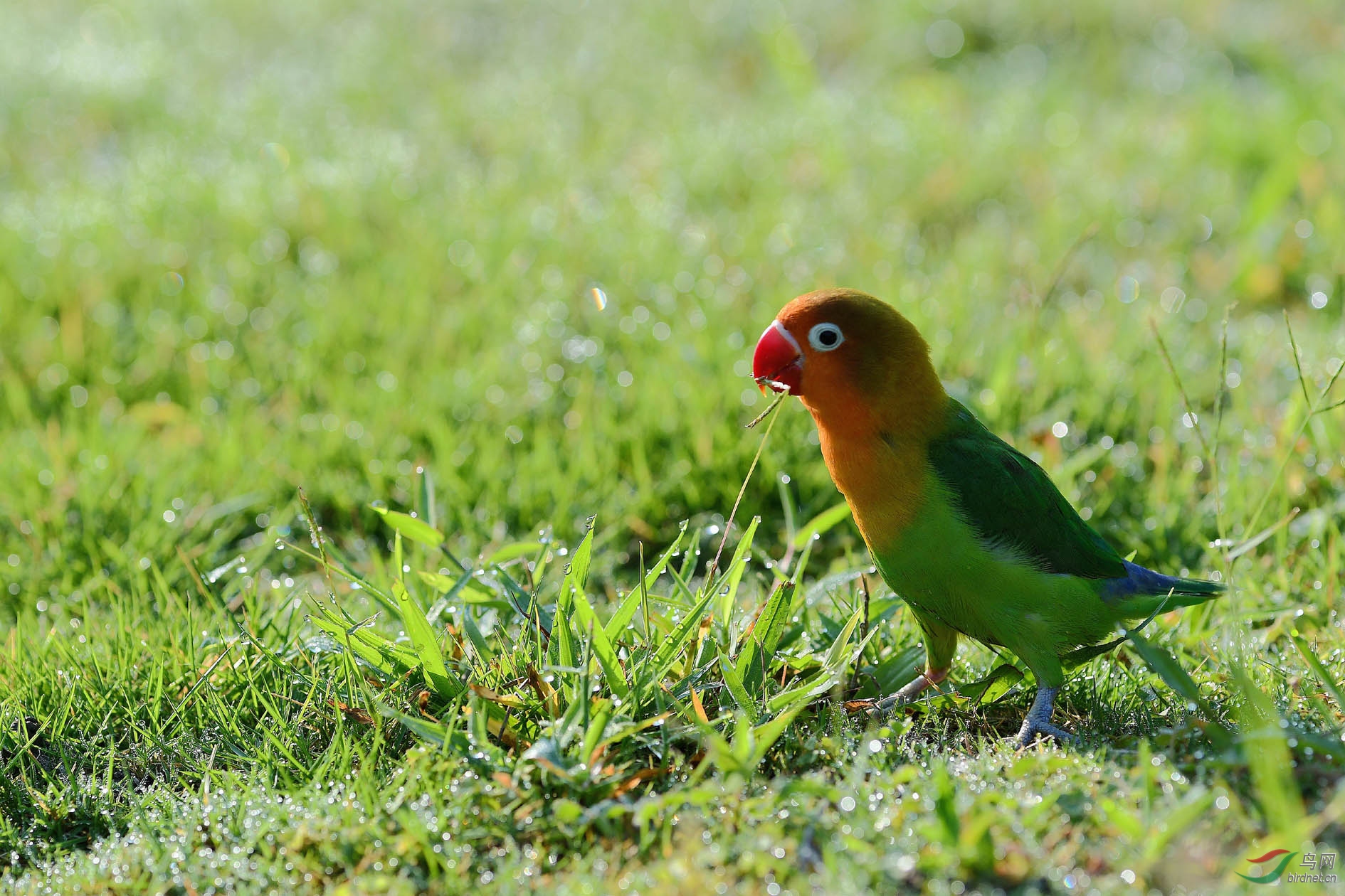DSC_0627.JPG