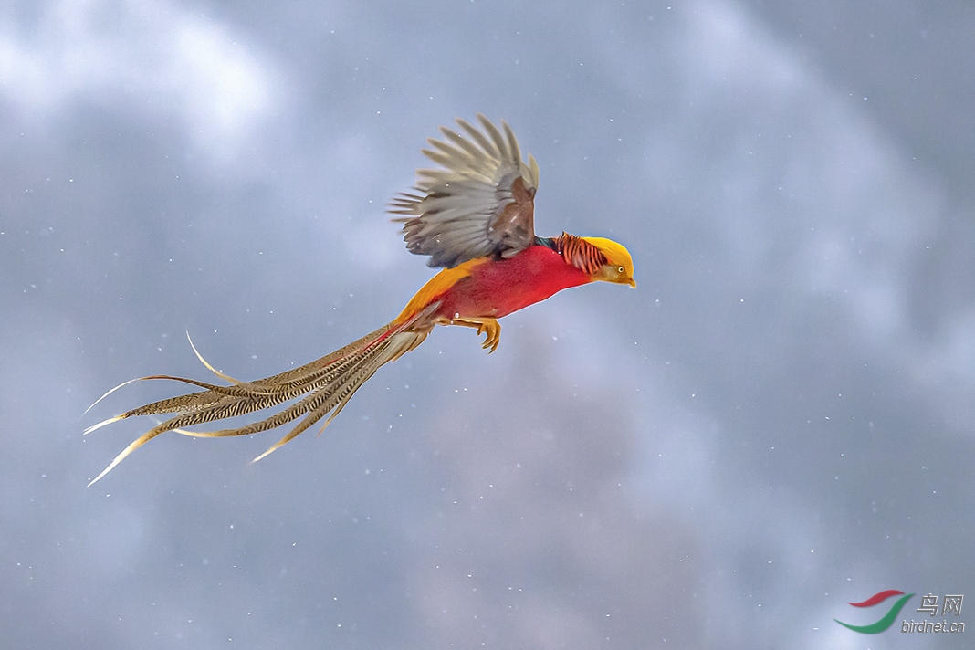 ����������Ͽ��ɽ��