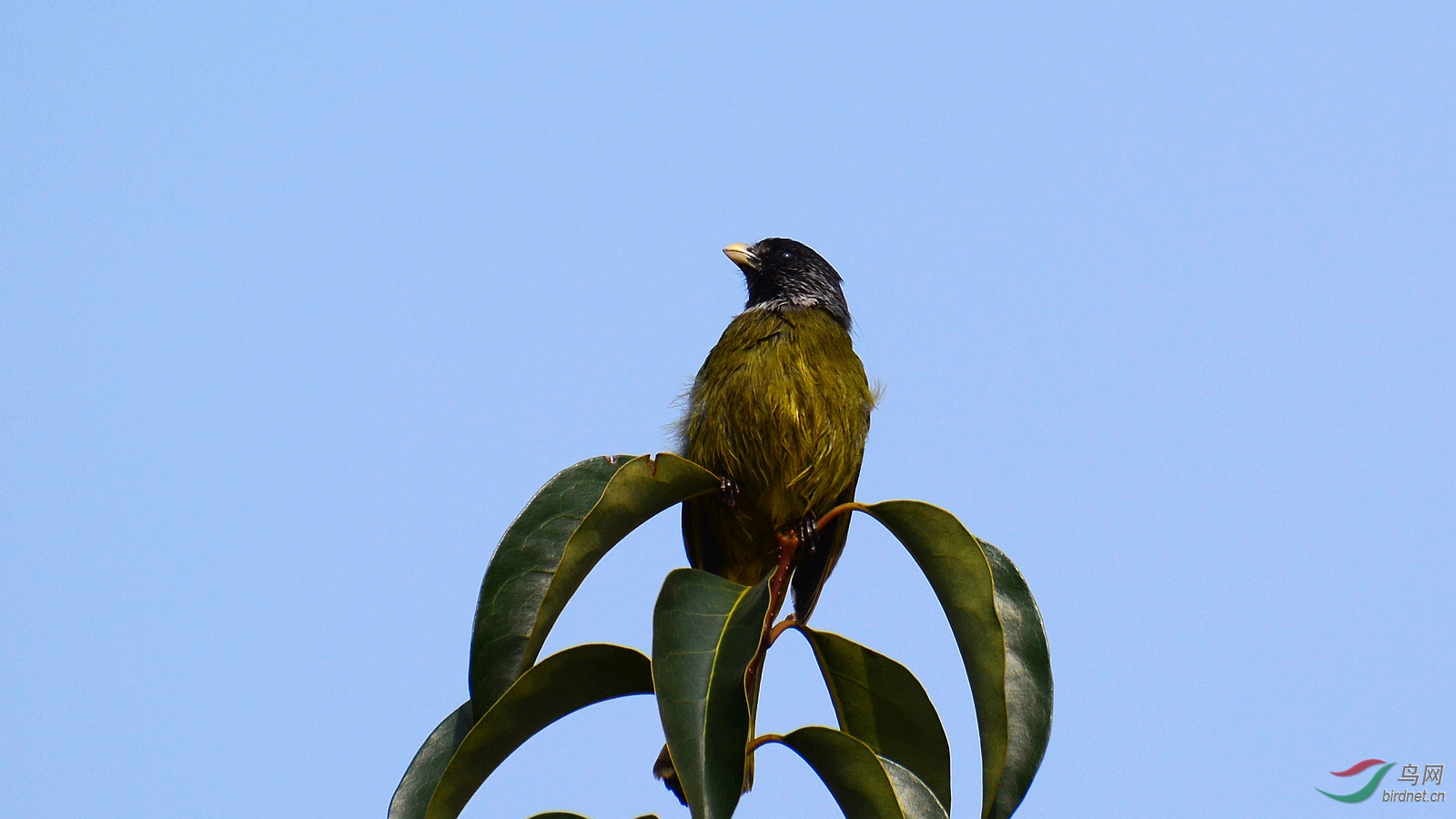 DSC_1427.JPG