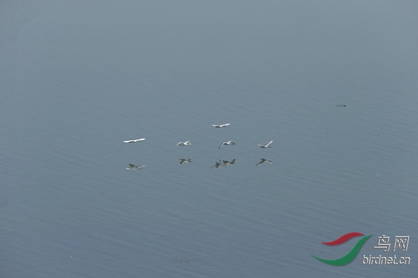 _E8J1260.jpg