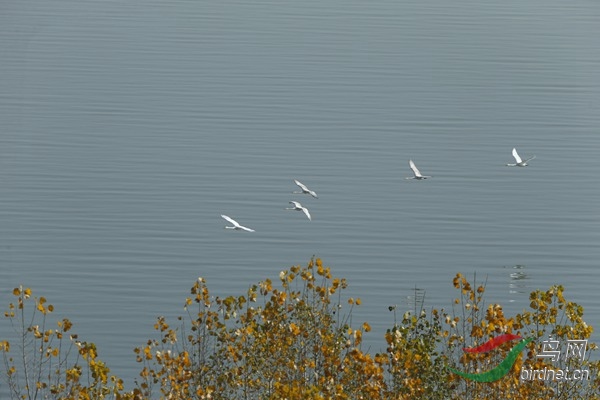 _E8J1291.jpg